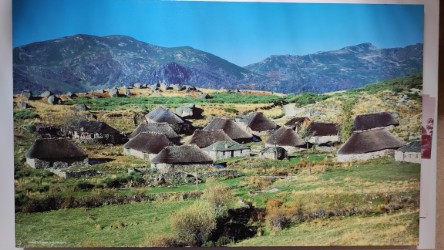 Vista general de Campo del Agua antes del incendio de 1989, con numerosas pallozas de cubierta vegetal. Fotografía atribuida a Salvador Núñez; copia facilitada por el Instituto de Estudios Bercianos.