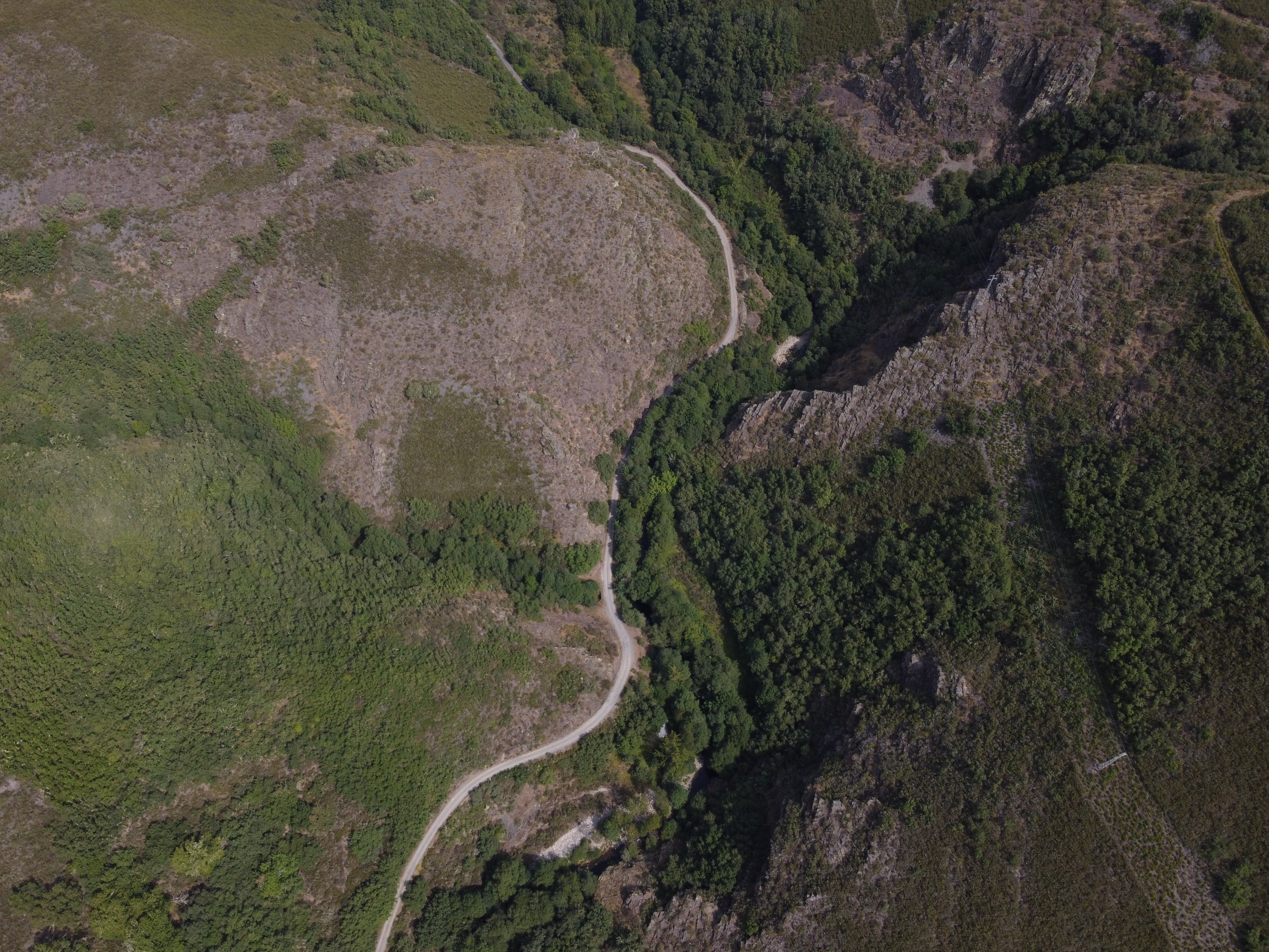 Vista aérea del bosque de ribera y el camino entre laderas rocosas. Fotografía: Pepe Couceiro · Lugares con Alma.