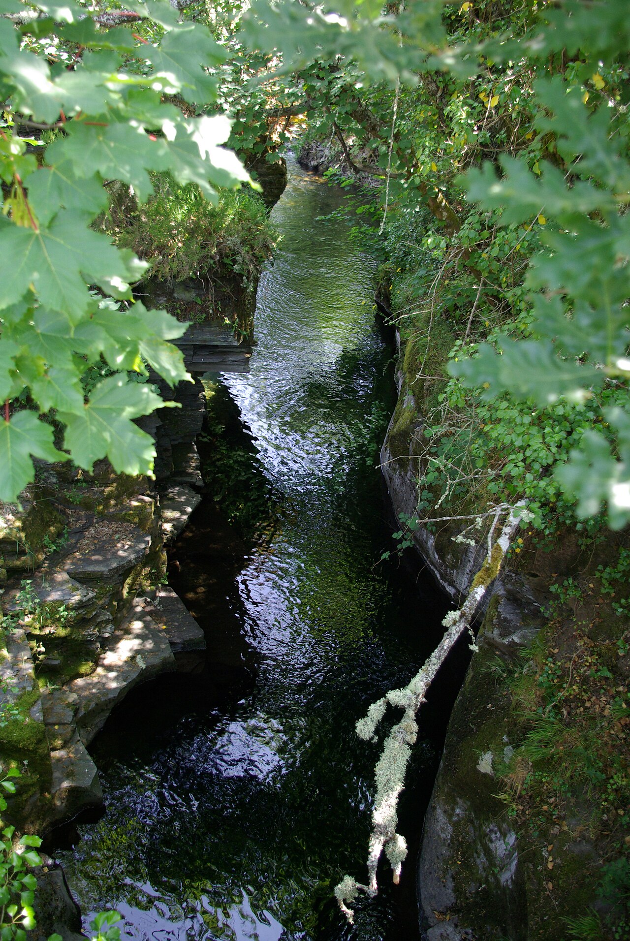 Río Burbia y bosque de ribera cerca de Aira da Pedra. Fotografía: David Pérez (DPC), Wikimedia Commons, CC BY 4.0.
