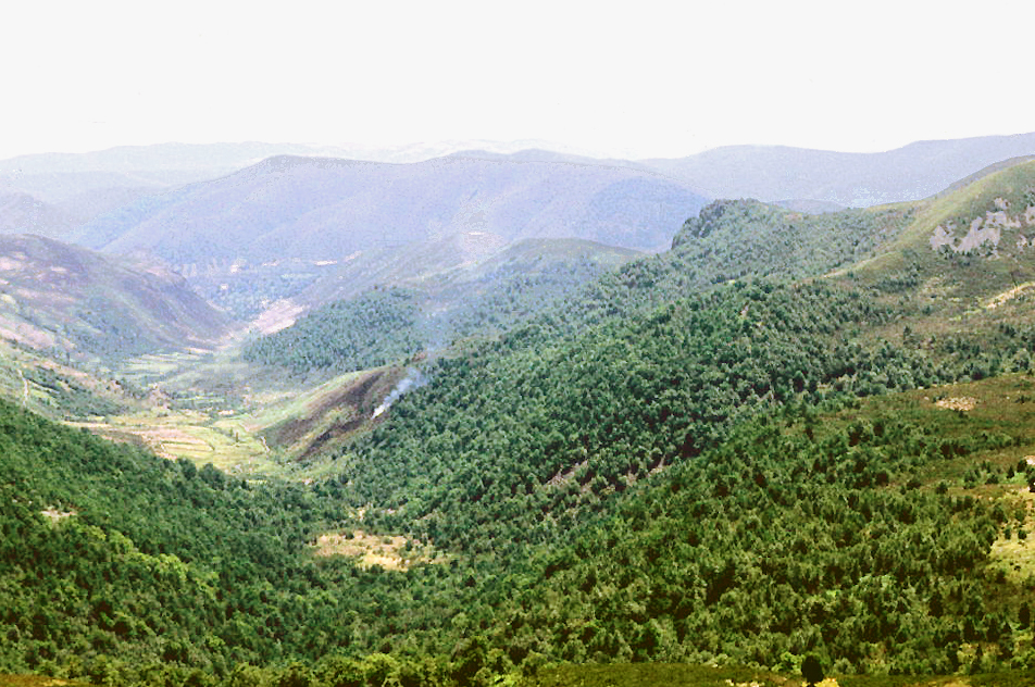 El valle desde Os Penedos, Campo del Agua. Fotografía: LBM1948, Wikimedia Commons, CC BY-SA 4.0.