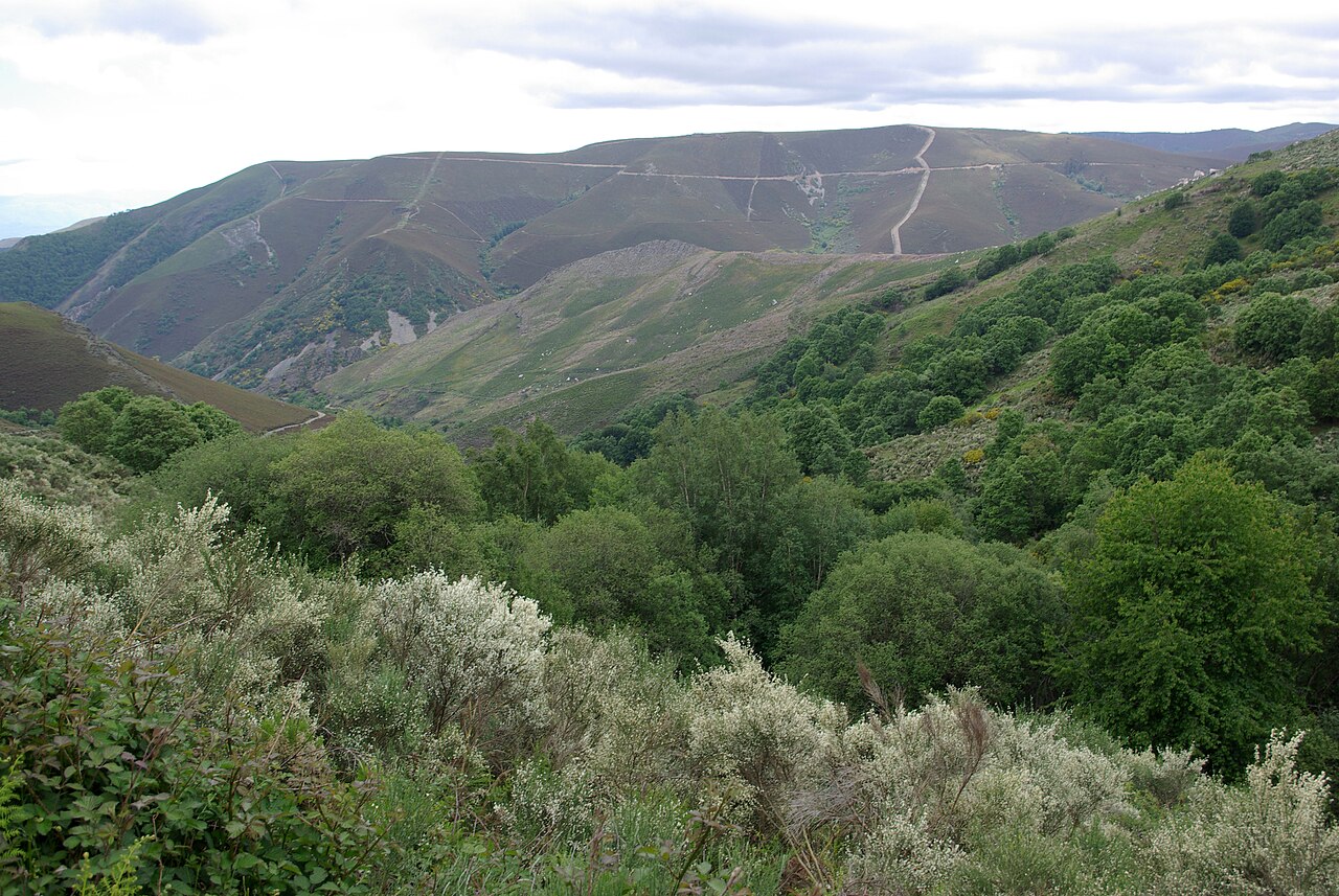 El valle del Burbia, Campo del Agua. Fotografía: David Pérez (DPC), Wikimedia Commons, CC BY 3.0.