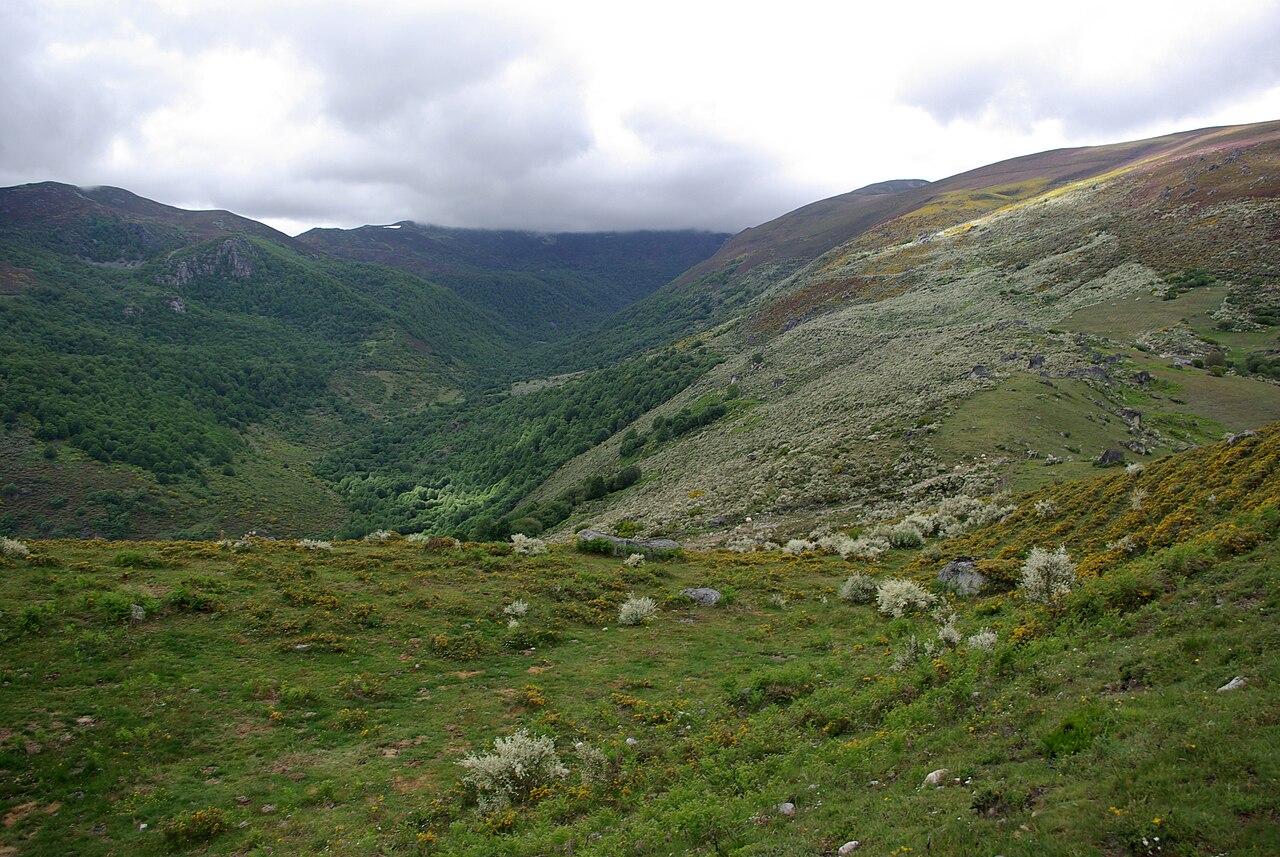 Paisaje hacia el norte II, Campo del Agua. Fotografía: David Pérez (DPC), Wikimedia Commons, CC BY 3.0.
