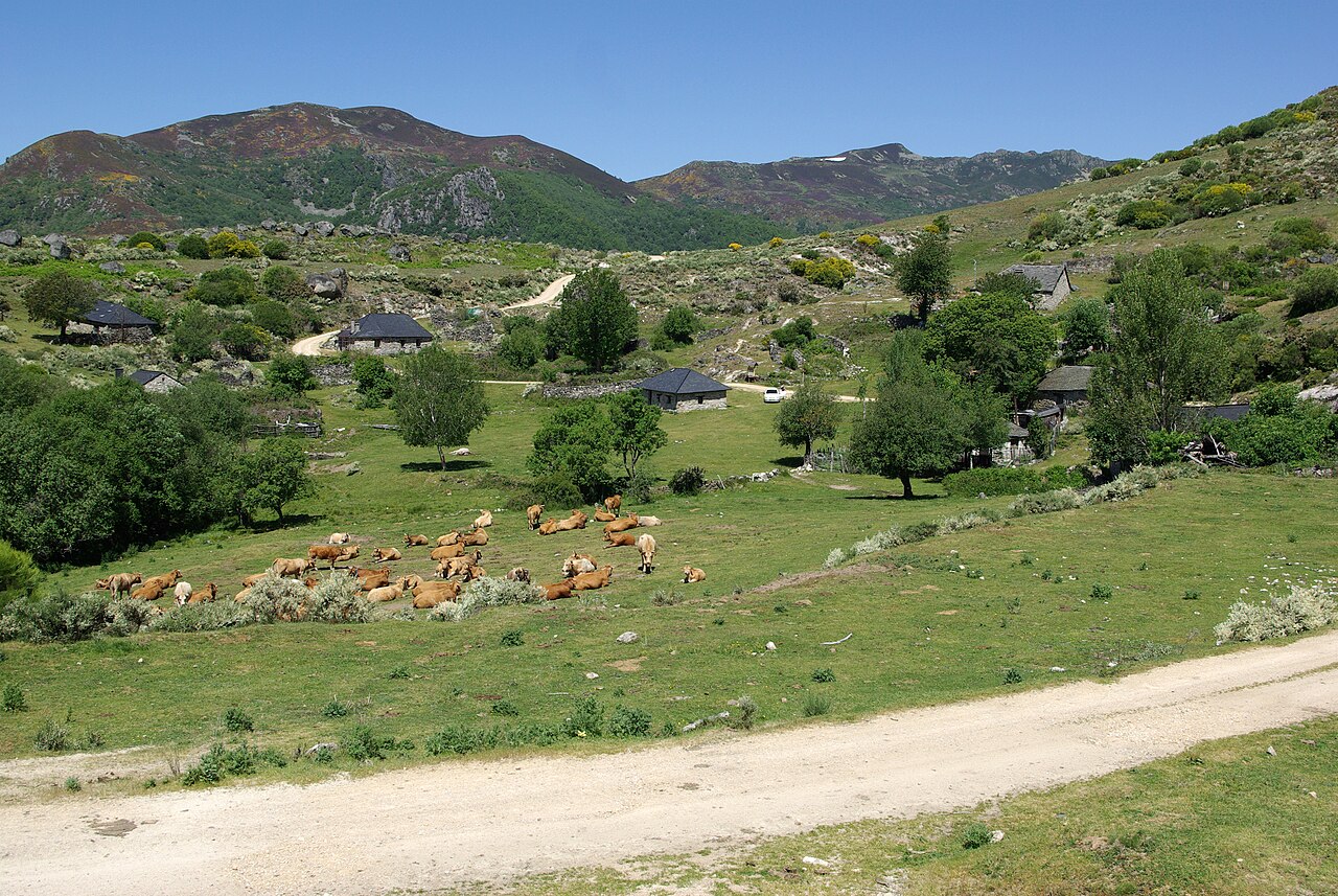 El caserío en junio, Campo del Agua. Fotografía: David Pérez (DPC), Wikimedia Commons, CC BY 3.0.